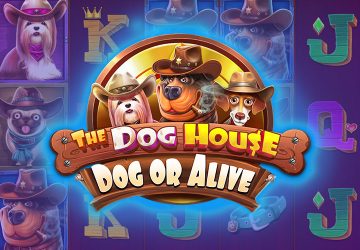 Автомат The Dog House Dog Or Alive в Slotman Casino